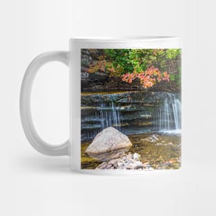 Little Falls Mug